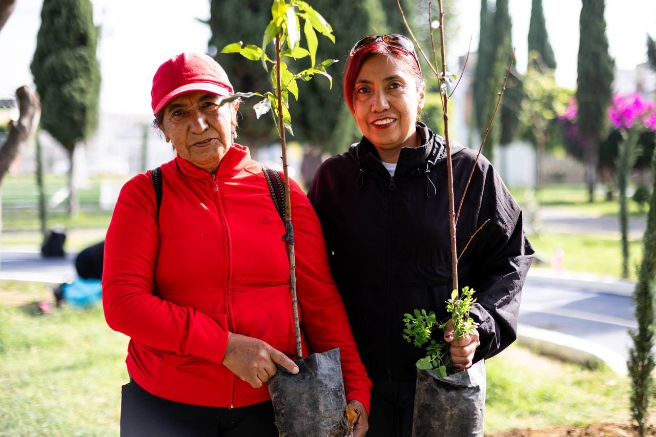 San Andrés Cholula supera los 4 mil árboles plantados durante la administración de Guadalupe Cuautle
