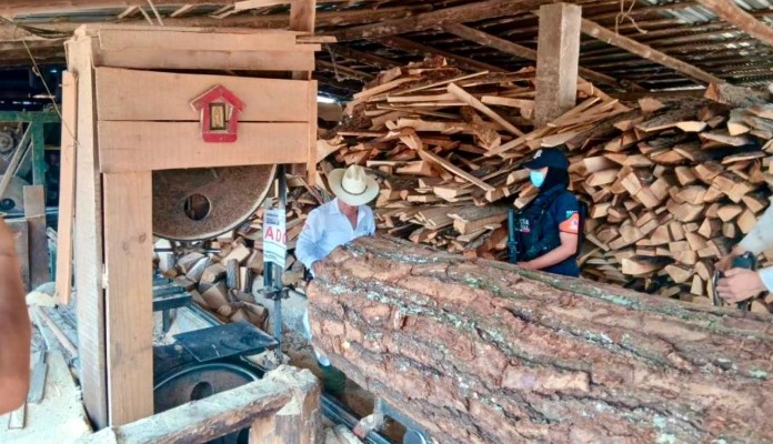 Semarnat desmmatela aserraderos en Chignahuapan y Aquixtla