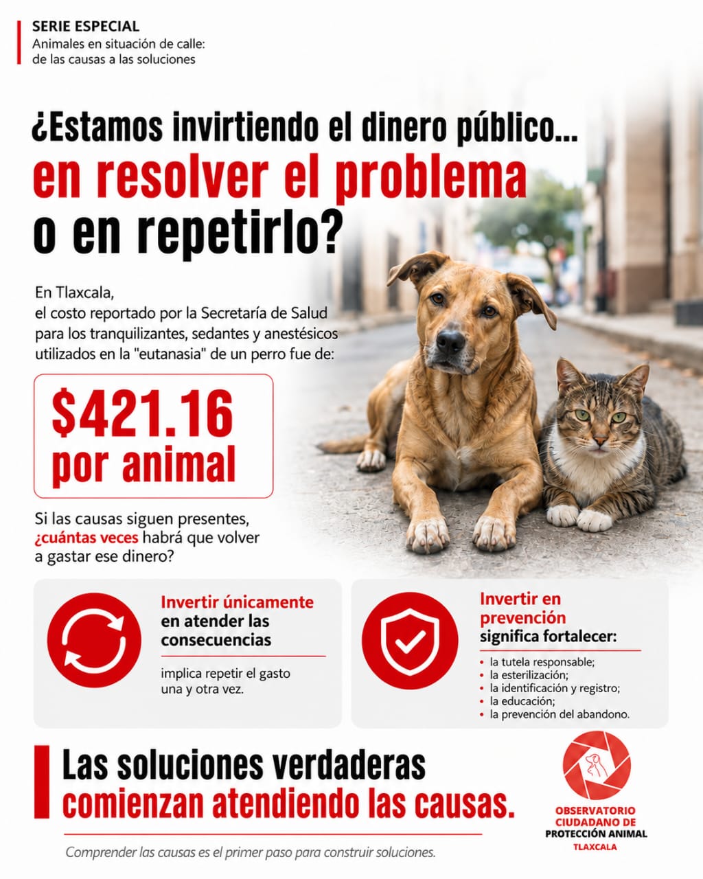 OCPA cuestiona la inversión de casi un millón de pesos en eutanasia animal en Tlaxcala