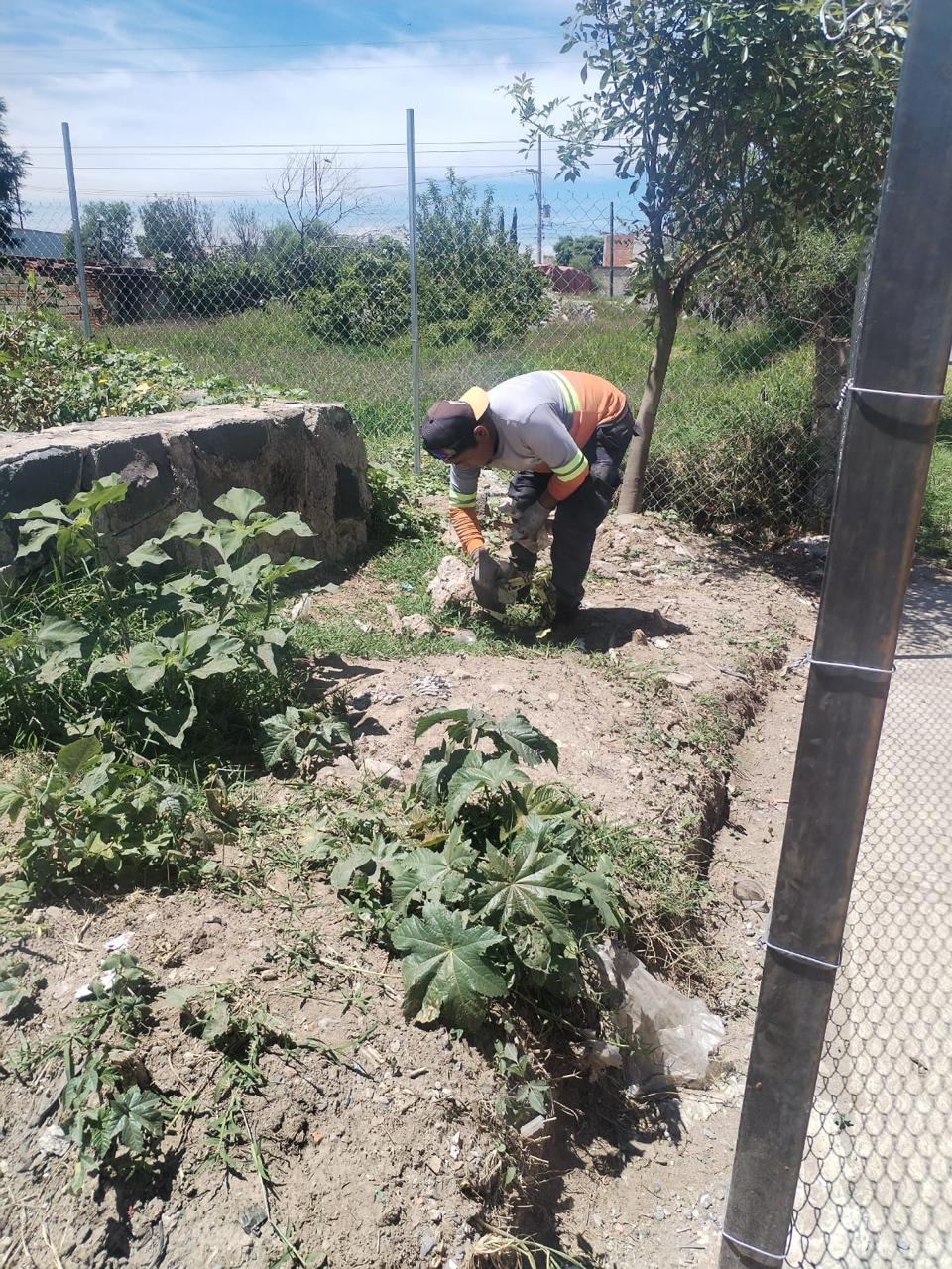 Gobierno de San Pedro Cholula mantiene labores permanentes de limpieza en el vaso regulador de Santiago Mixquitla