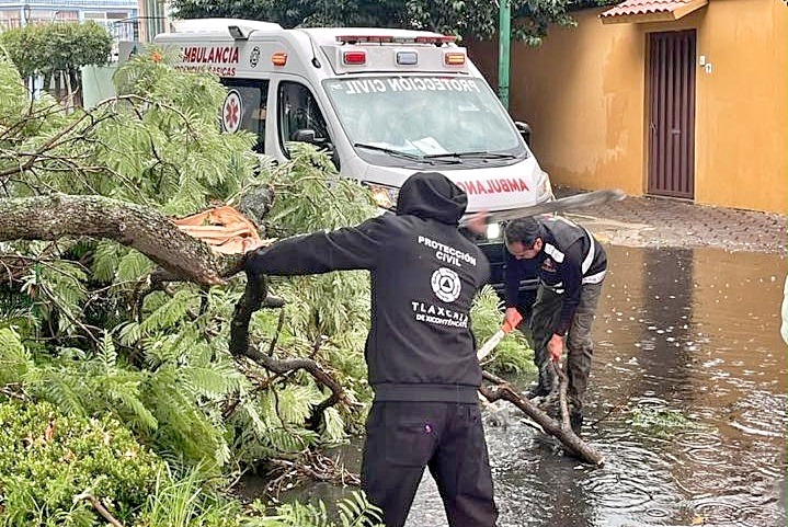 Personal de Protección Civil retira un árbol caído en Tlaxcala.