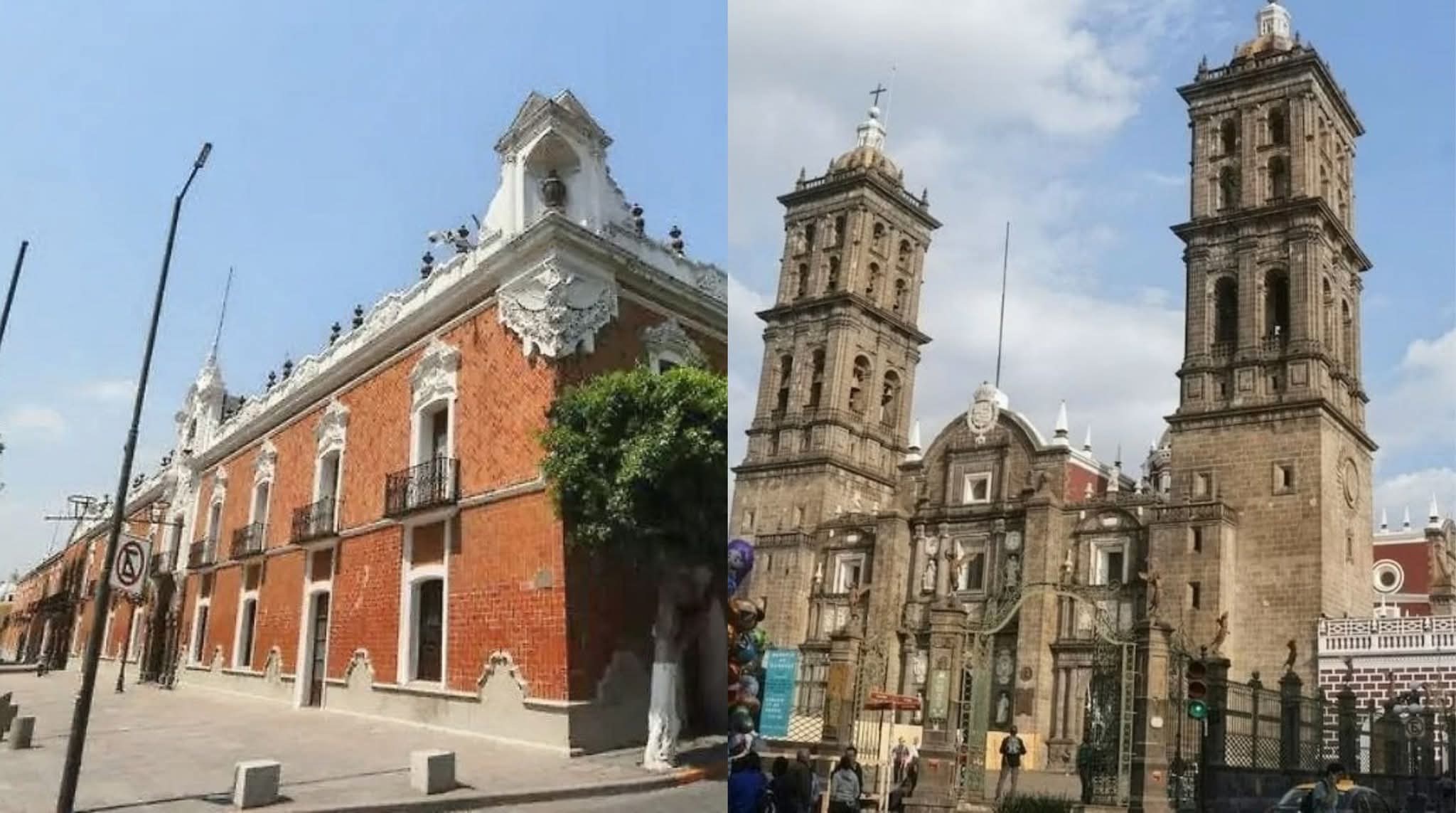 Se expande la vigilancia ciudadana por el bienestar animal: Puebla estrena su propio Observatorio