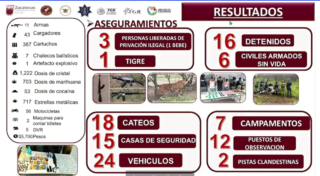 Tigresa de bengala rescatada durante operativo de seguridad en Zacatecas
