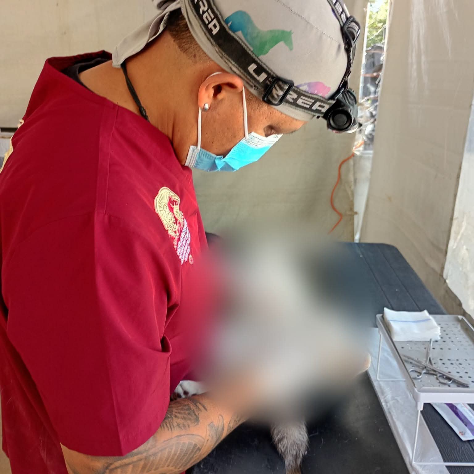Cuautlancingo acerca jornadas gratuitas de esterilización para perros y gatos