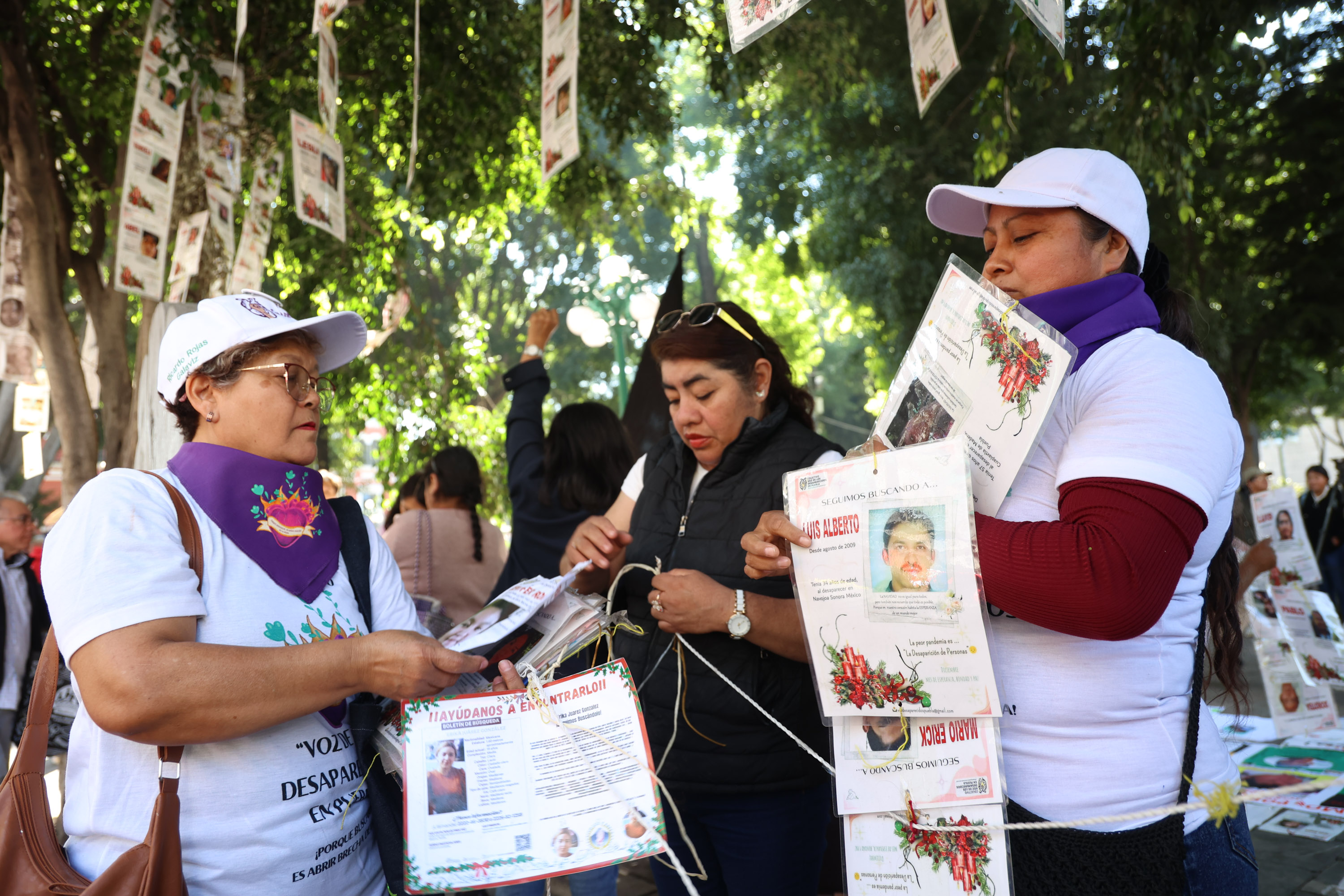 Colectivo Voz de los Desaparecidos retira fichas del Árbol de la Esperanza