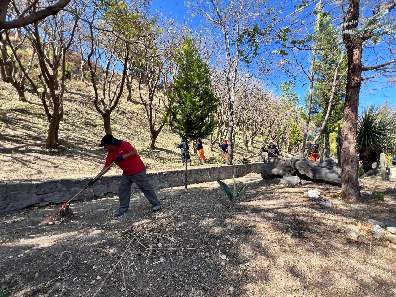 Tlaxcala mejora Avenida Puebla y transforma una zona clave de acceso