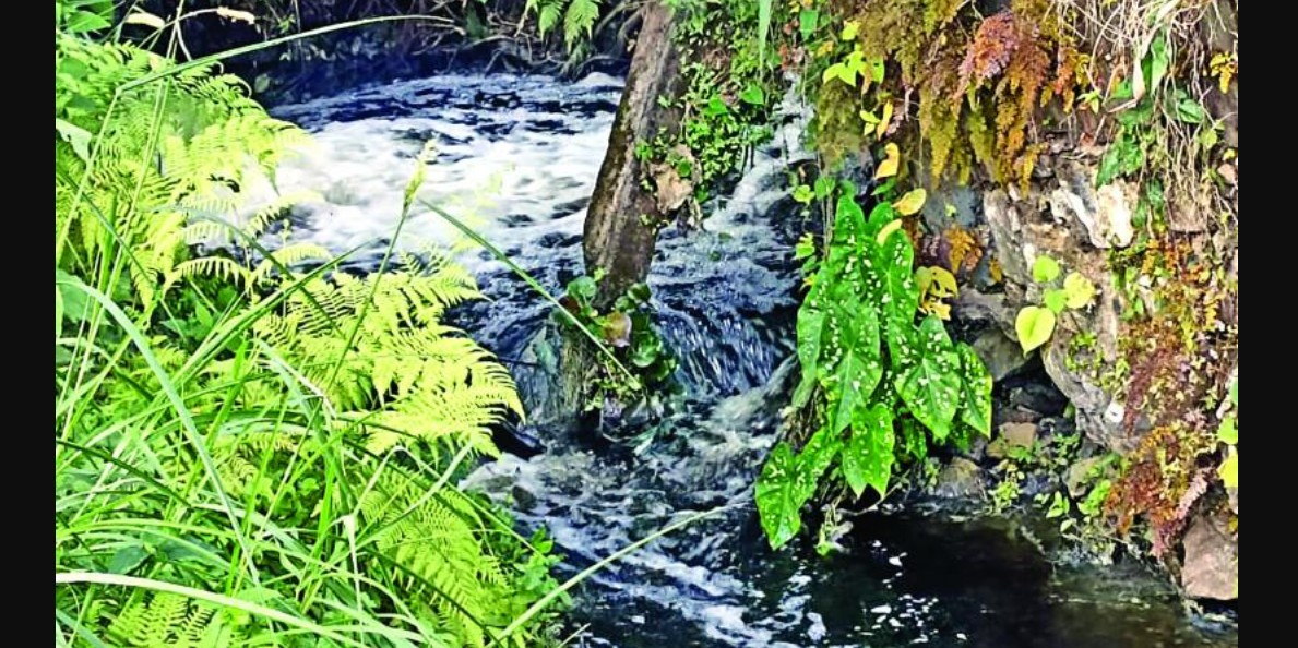 Represa contaminada deja sin agua a miles de familias
