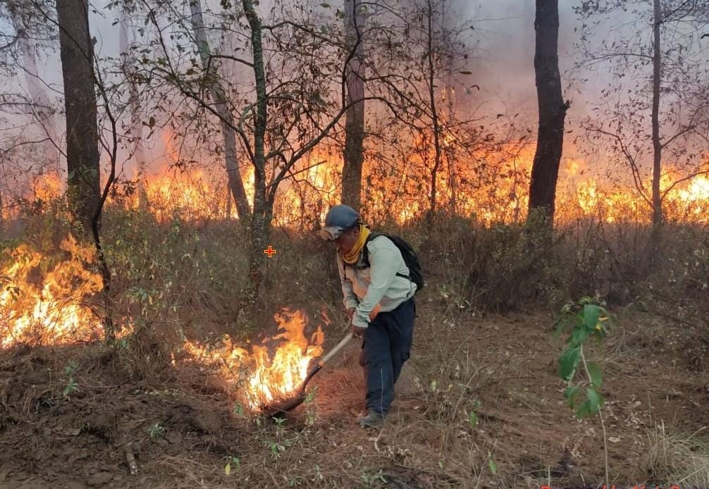 Tlaxcala se prepara contra incendios forestales con plan clave al 2030
