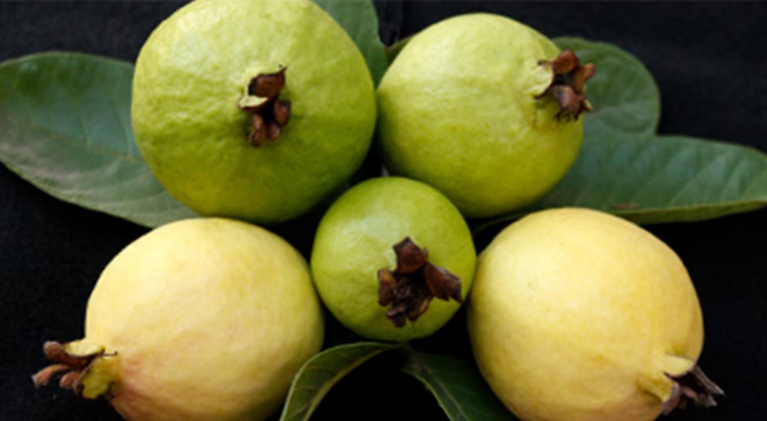 La fruta mexicana que impulsa el colágeno de forma natural