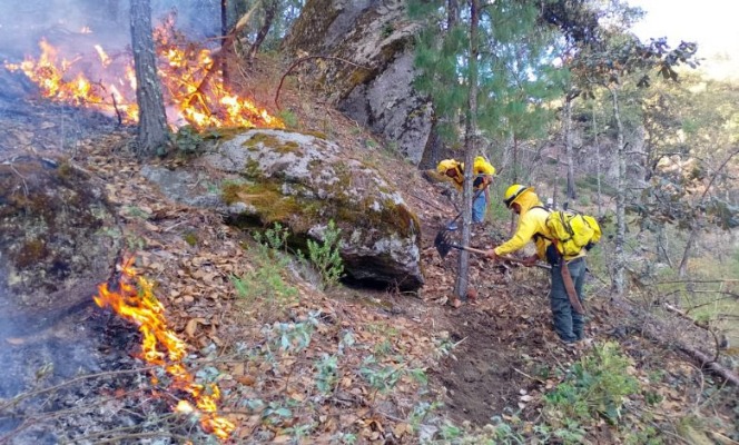 Primeros incendios forestales del 2026 en Puebla dejan daños en seis municipios