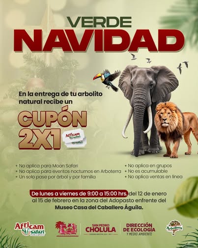 verde navidad 1