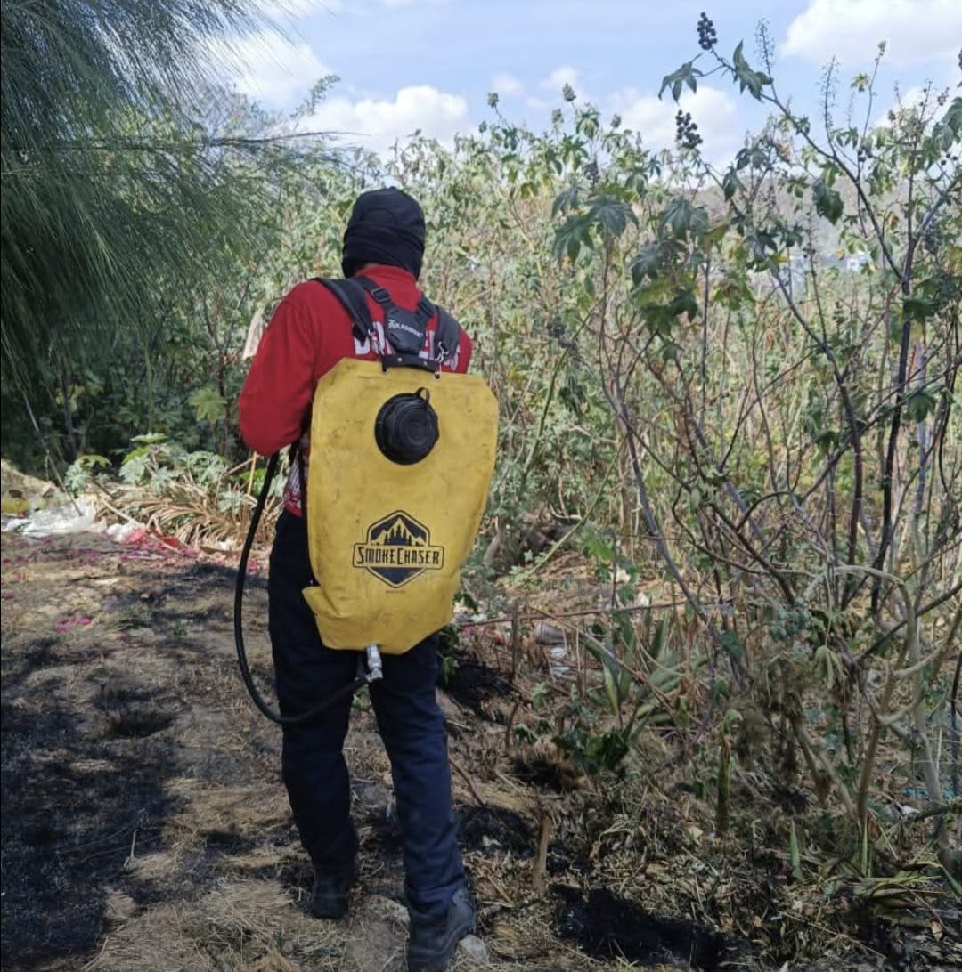 Controlan incendio de pastizal en la carretera Paso de Cortés, reportan cero personas lesionadas
