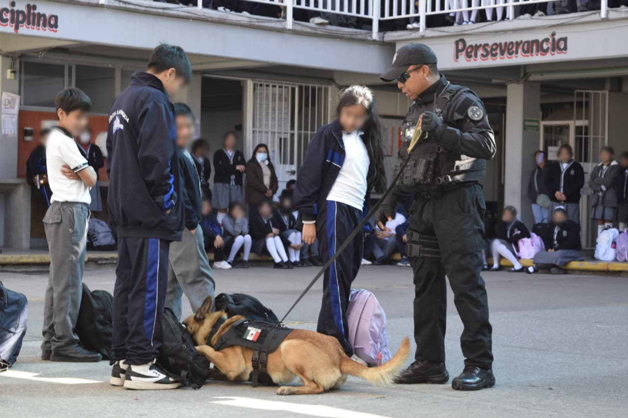 whatsapp image 2026 01 27 at 3.51.11 pm 1