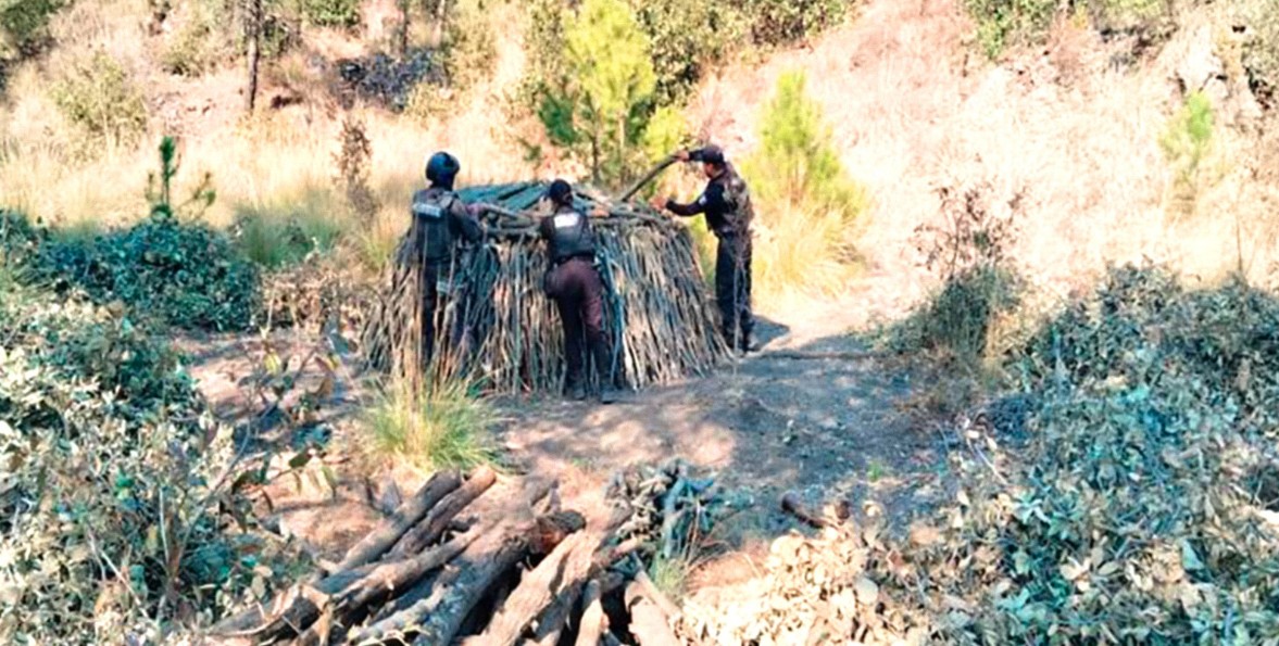 Operativos forestales contra la tala ilegal en Puebla