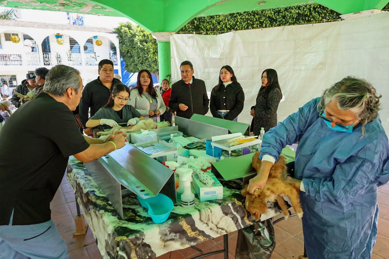 whatsapp image 2026 01 30 at 4.45.24 pm