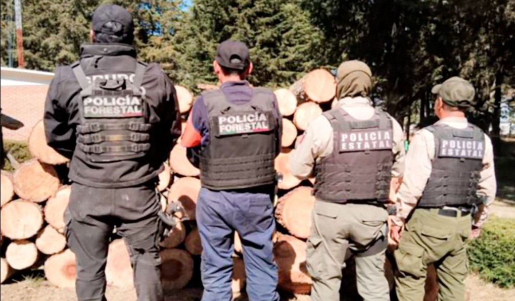 Operativo conjunto contra la tala ilegal en zonas limítrofes
