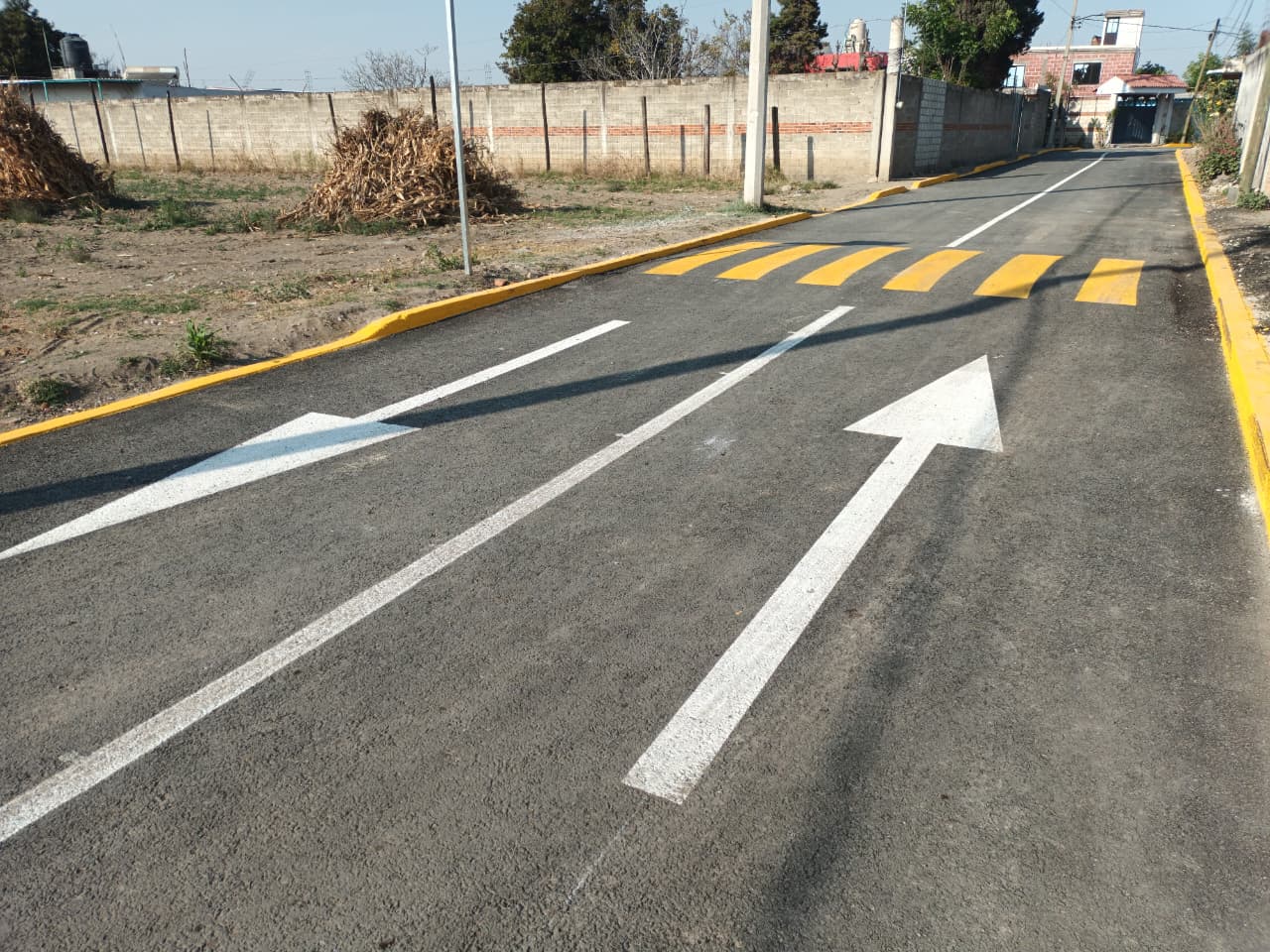 whatsapp image 2026 01 31 at 11.35.53 am 1