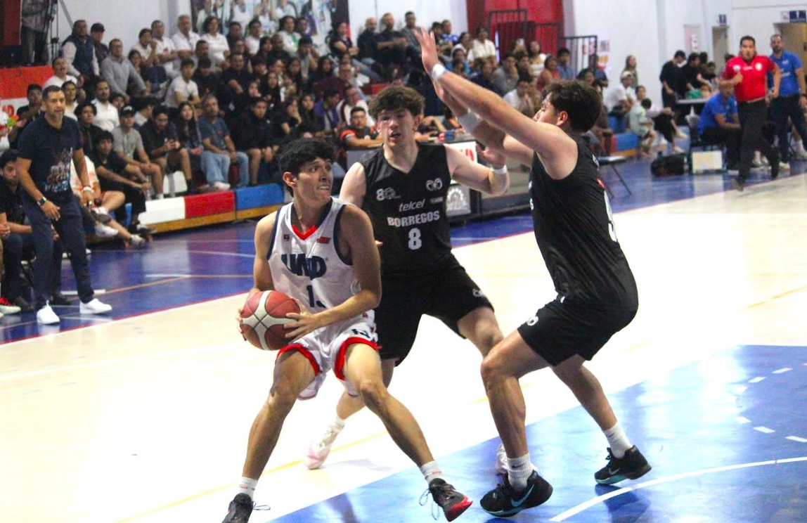 Eduardo Carrasco vive su temporada de consolidación con Tigres Blancos UMAD