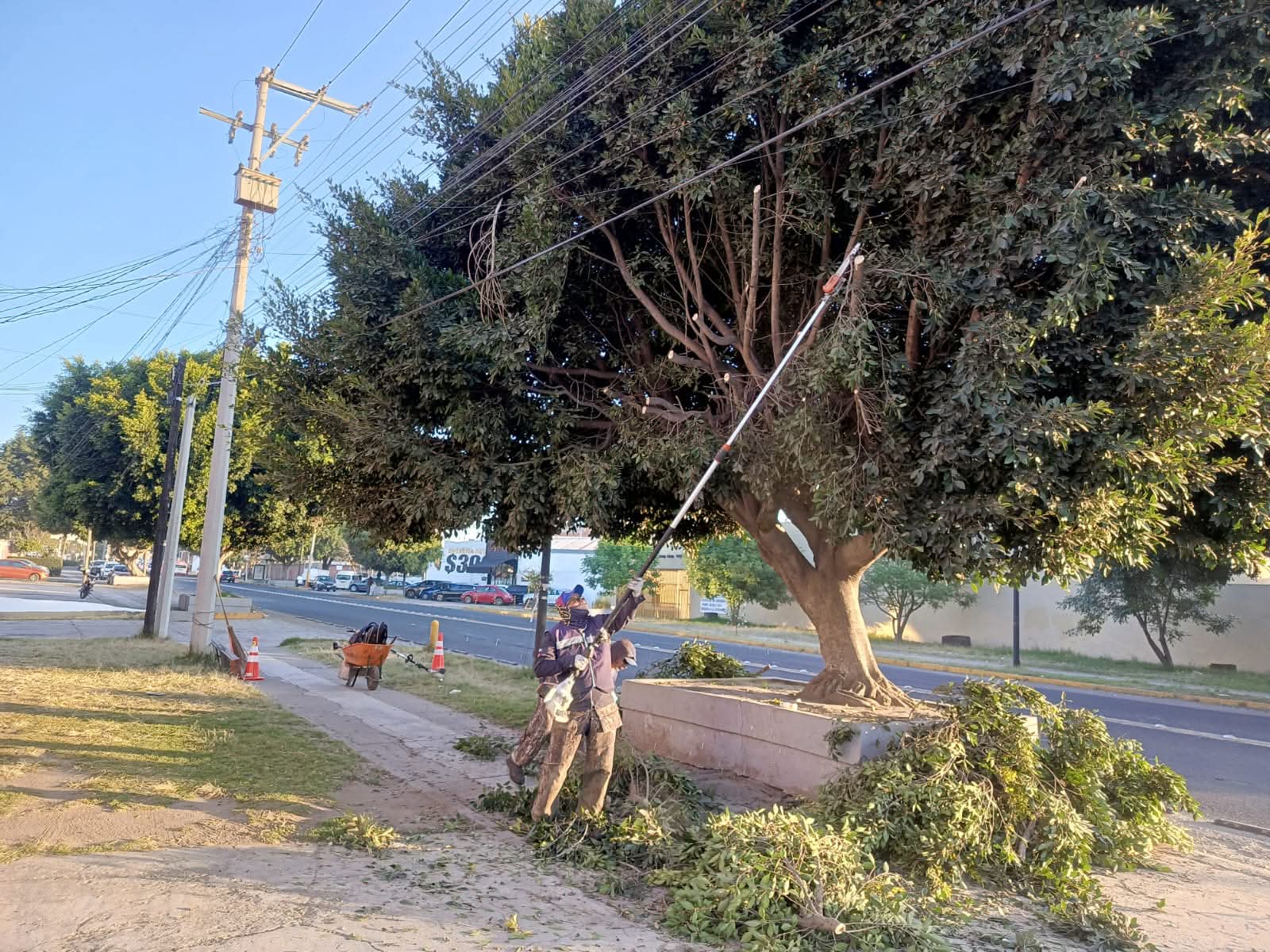 Refuerza Tonantzin Fernández labores de mantenimiento urbano y prevención ambiental