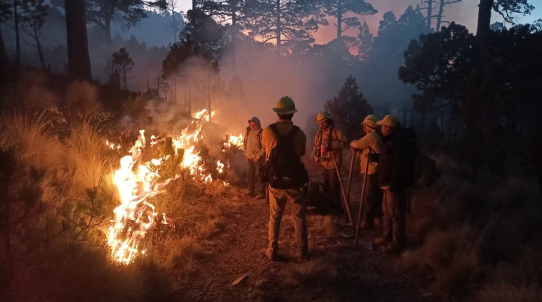 Reporte oficial sobre incendios forestales en Puebla