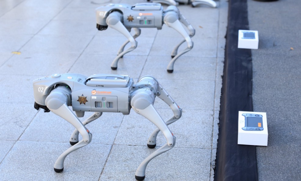 Tecnología de punta: así operan los perros robot en Nuevo León