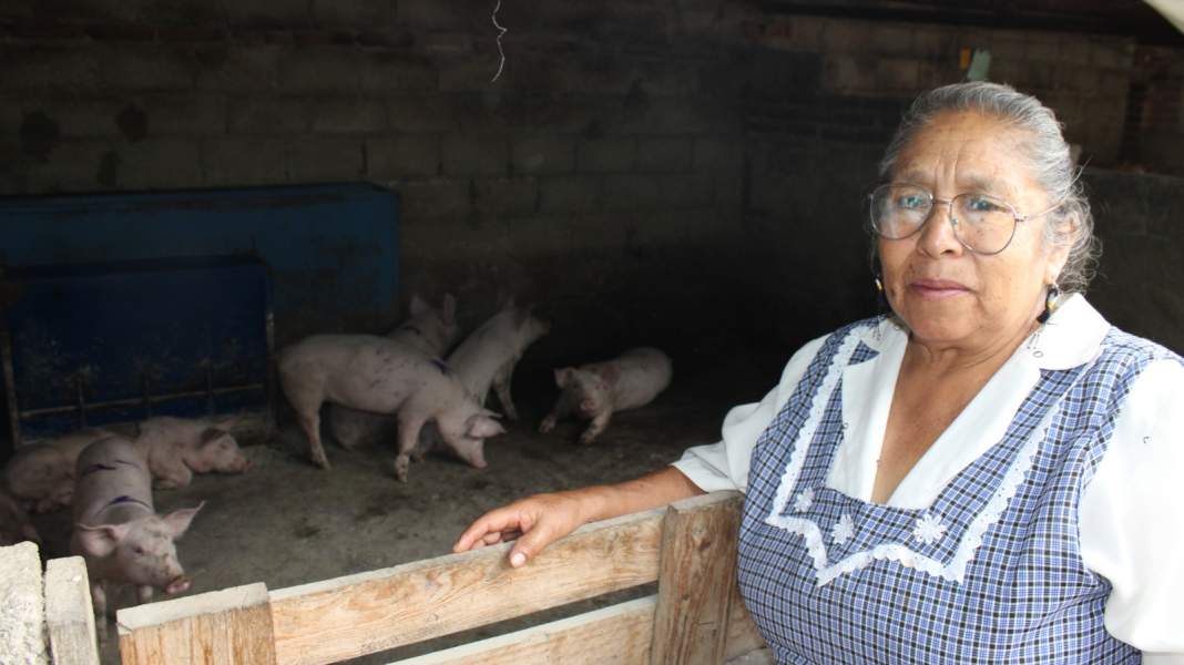 Fomtlax va con todo en 2026: más créditos y apoyo a mujeres en Tlaxcala