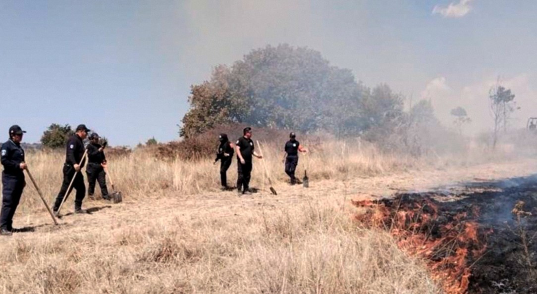 Incendios en Oriental y Amozoc movilizan a corporaciones estatales
