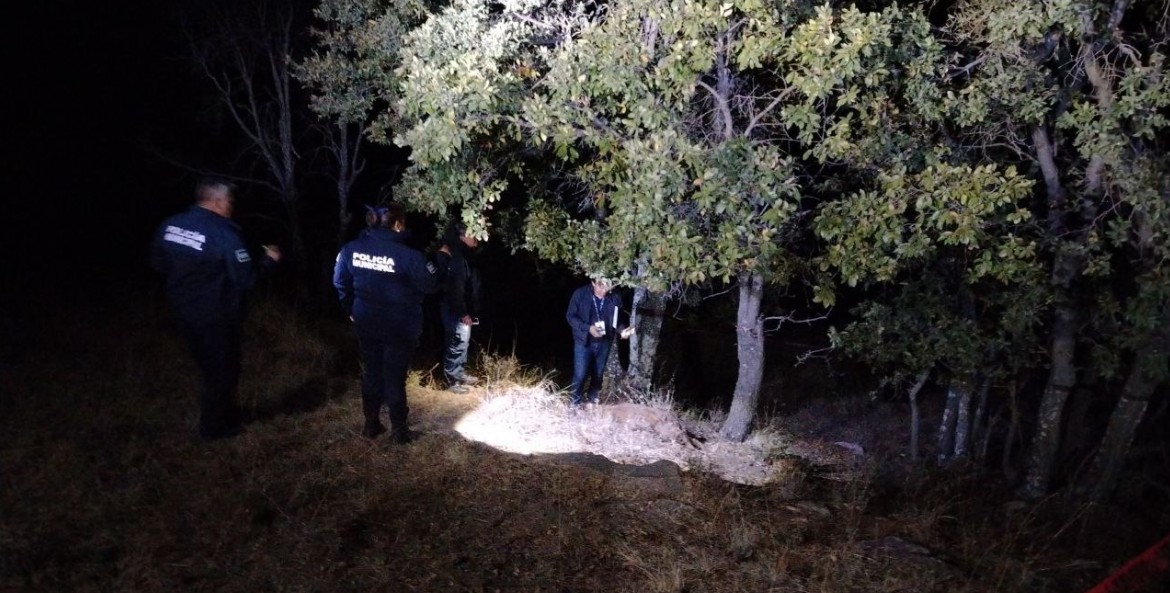 Denuncian ante Fiscalía caso de perro hallado sin vida en Puebla