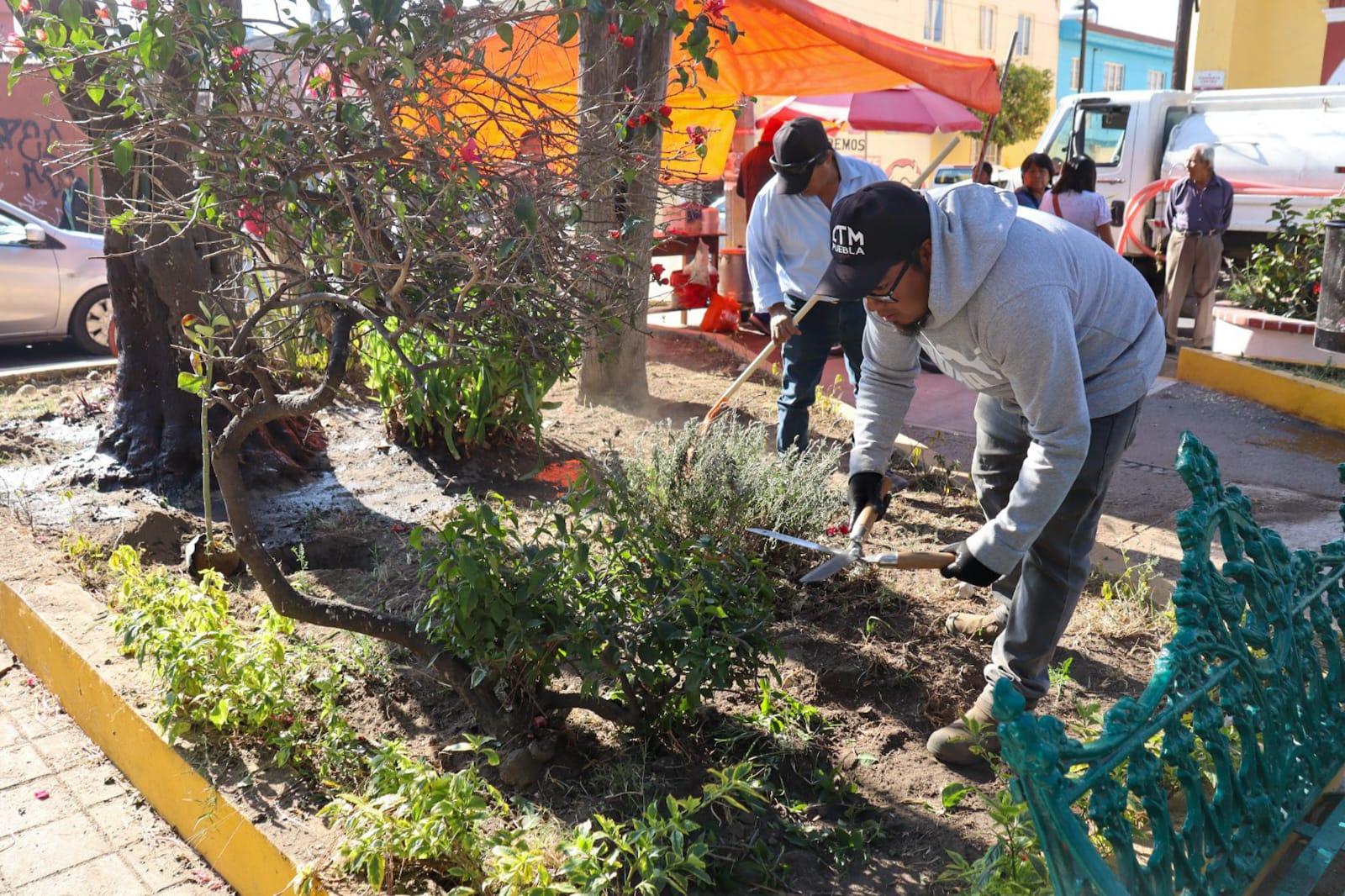 whatsapp image 2026 02 19 at 3.58.31 pm 1