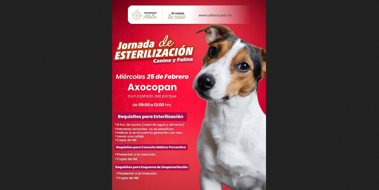 Jornada de esterilización en Atlixco: fecha, sede y horario