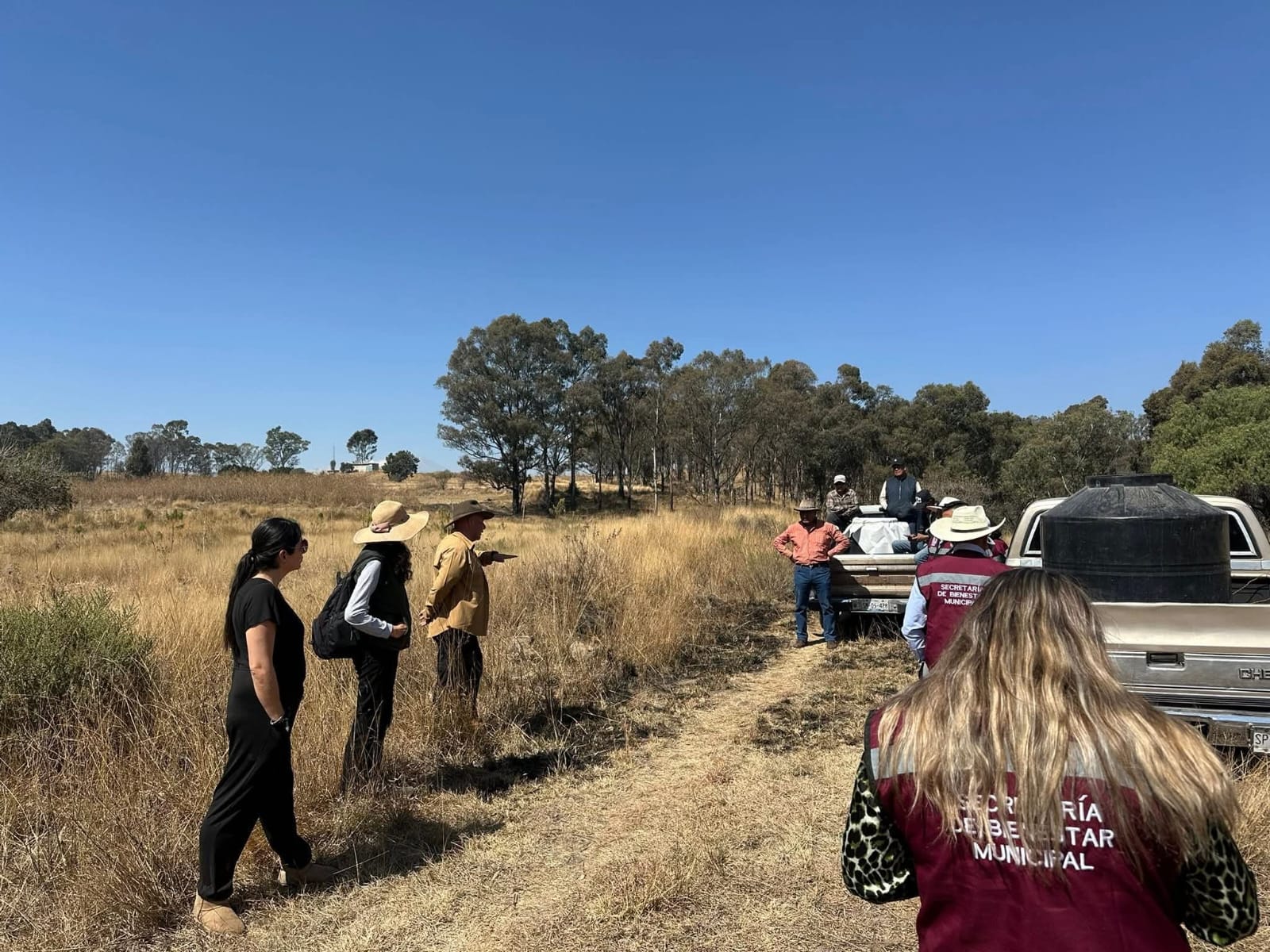 whatsapp image 2026 02 26 at 4.23.15 pm