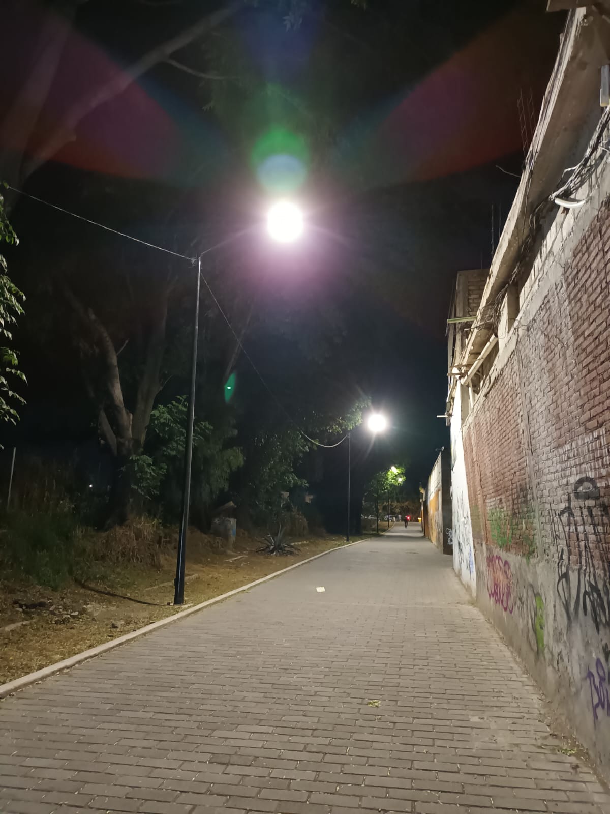 whatsapp image 2026 02 04 at 7.18.32 am