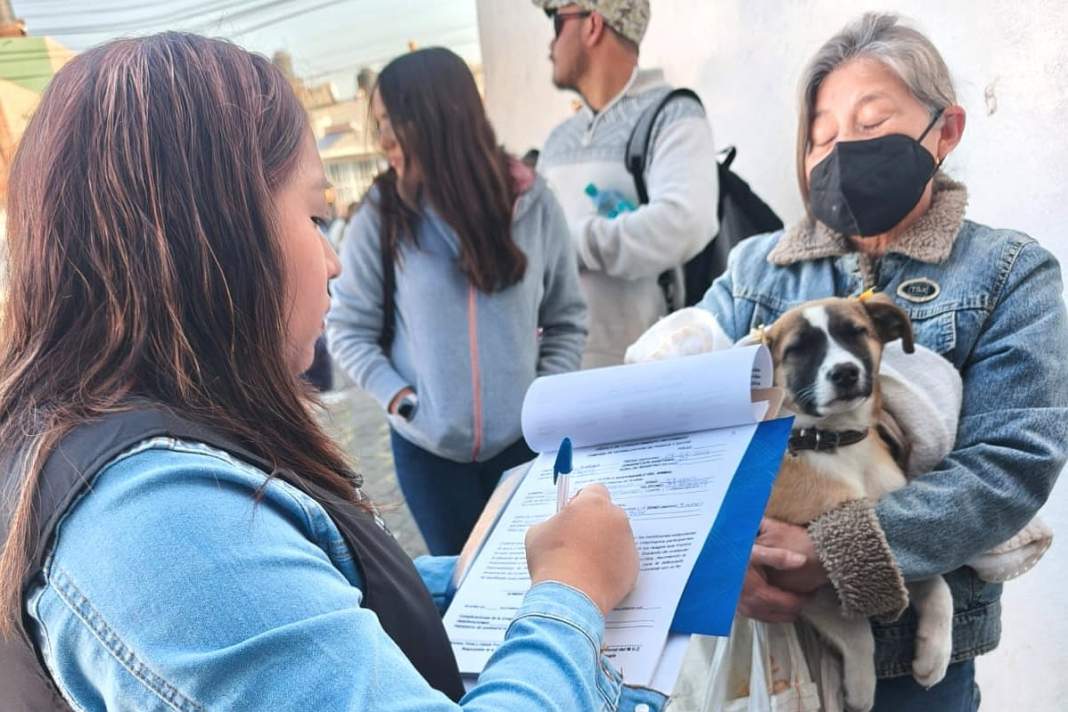 Esterilización gratuita en Tlaxcala: fechas, sedes y requisitos clave