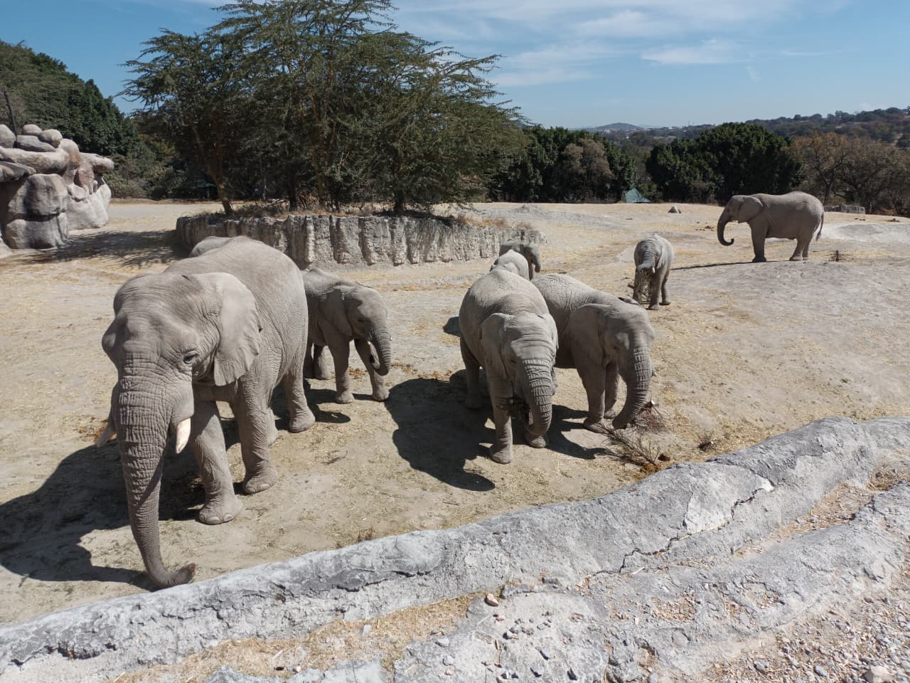 whatsapp image 2026 02 06 at 7.40.34 pm