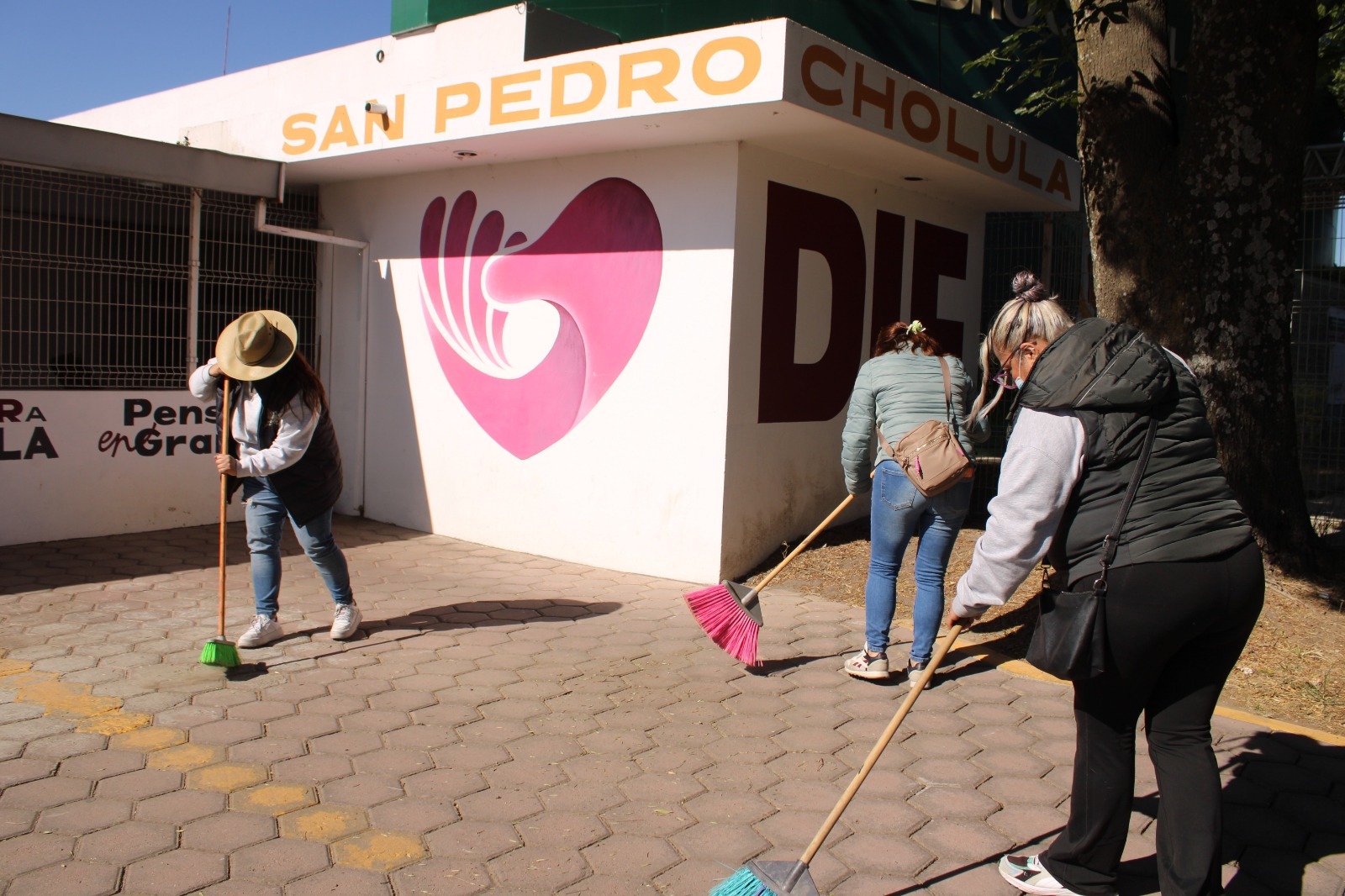 whatsapp image 2026 02 07 at 12.34.57 pm