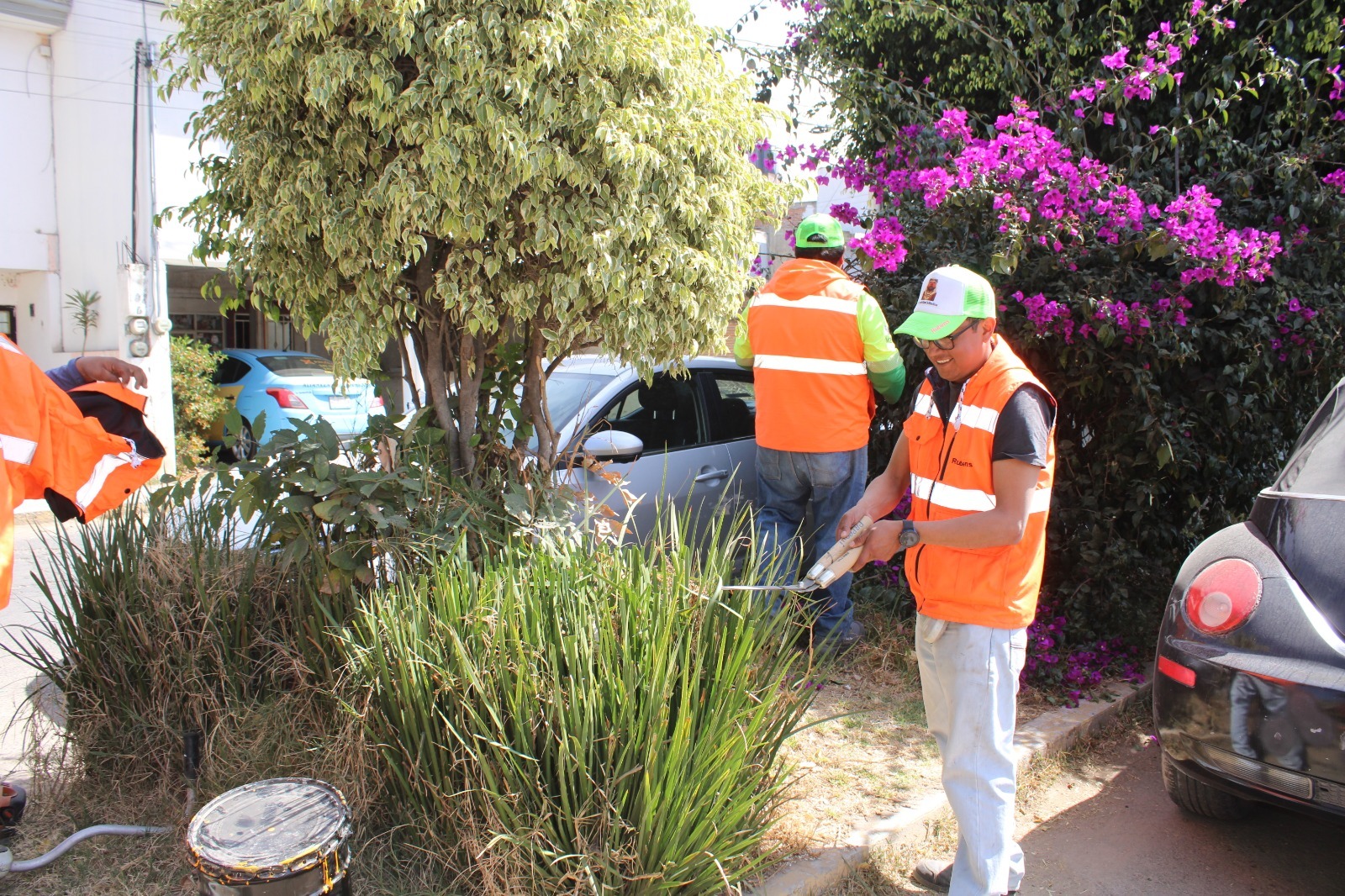 whatsapp image 2026 02 07 at 12.35.00 pm