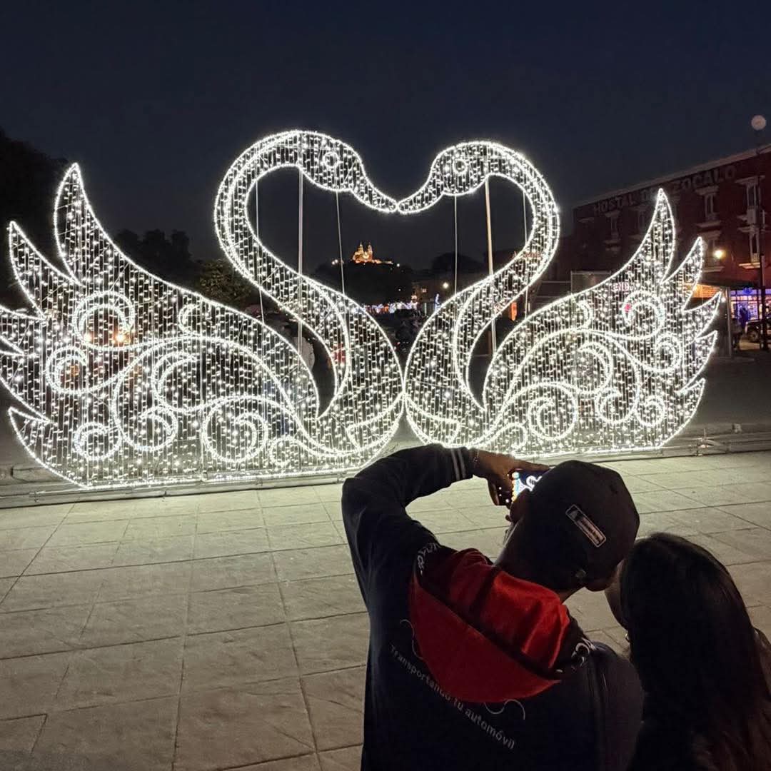 whatsapp image 2026 02 08 at 2.08.34 pm