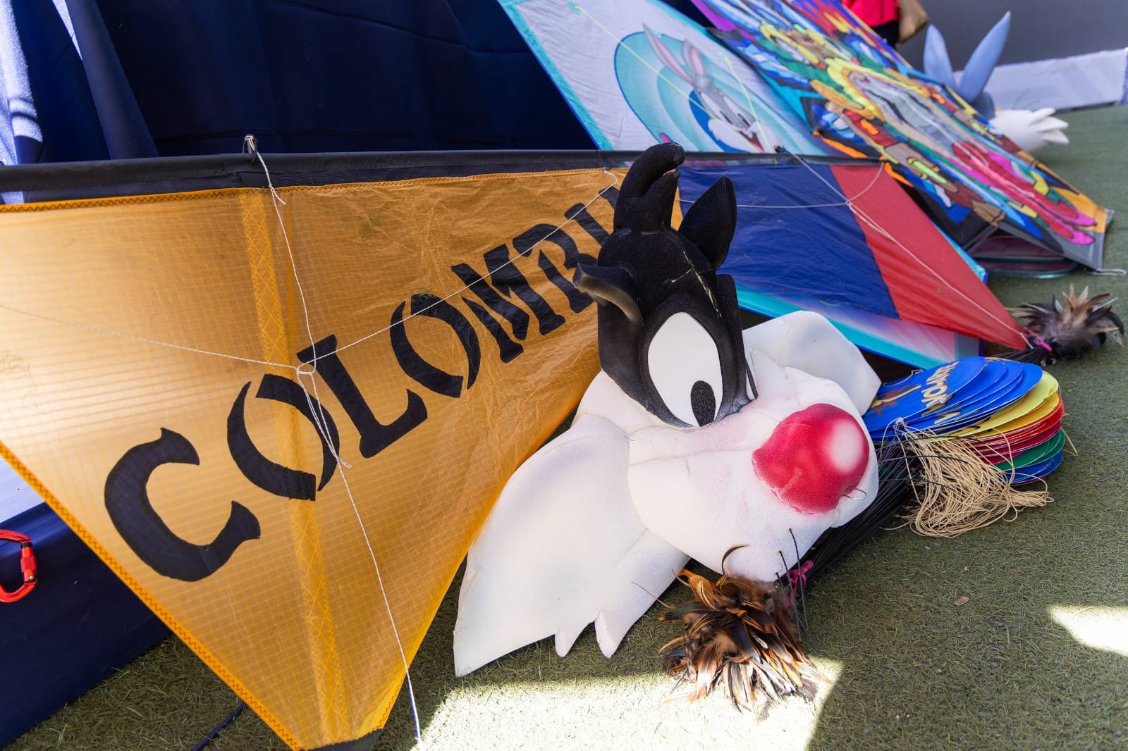 whatsapp image 2026 02 09 at 7.51.00 pm 2