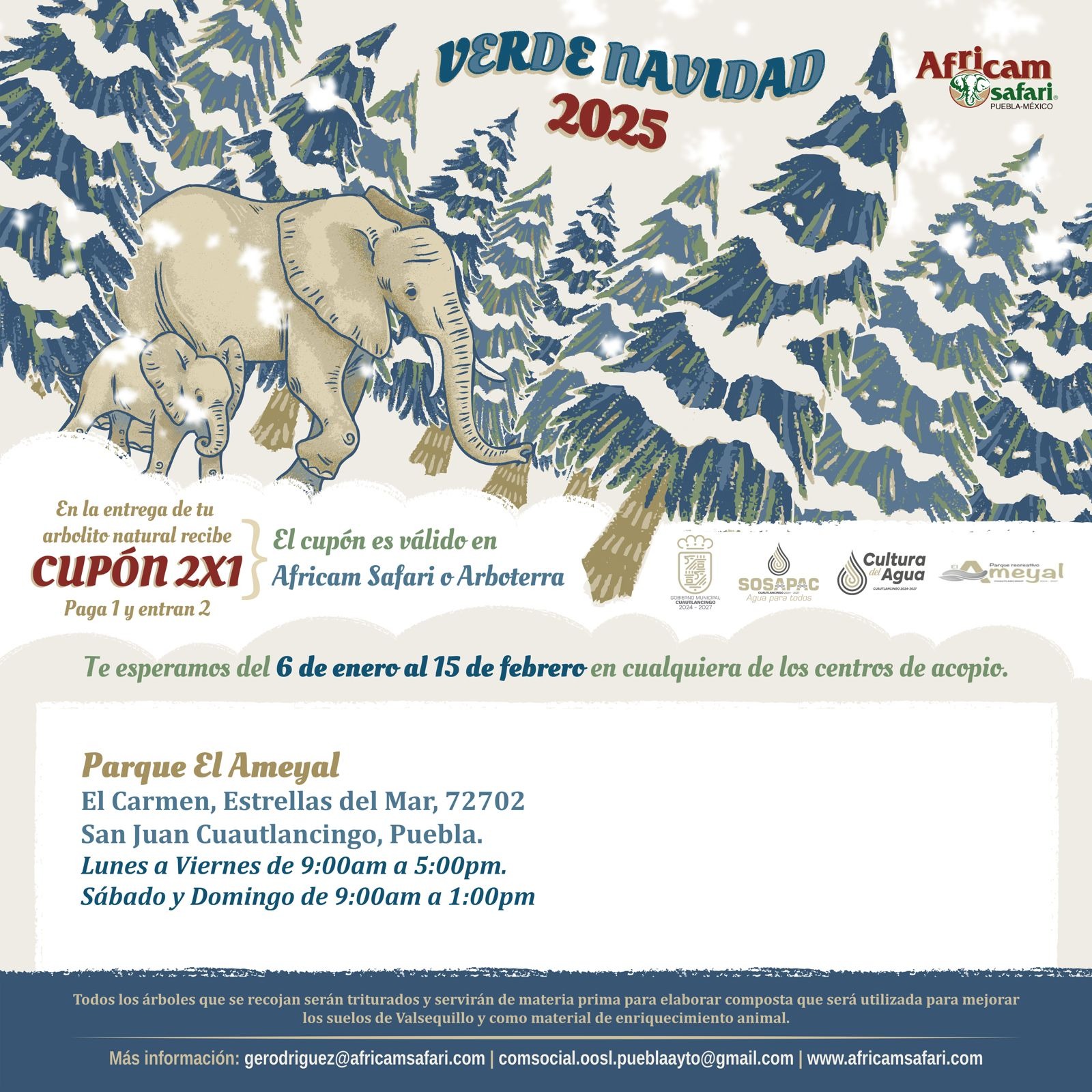 whatsapp image 2026 02 09 at 8.15.45 am