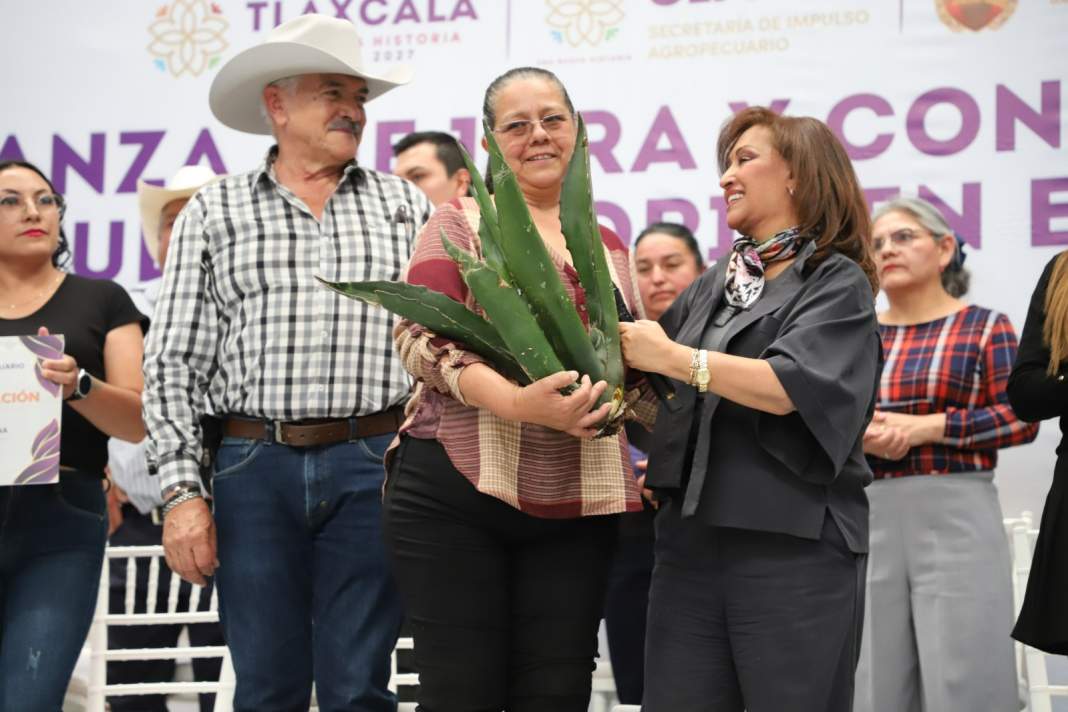 Campo de Tlaxcala tendrá fuerte impulso ambiental y productivo en 2026