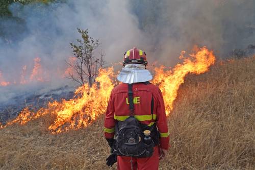 Bomberos combaten un incendio forestal en Almería, España.