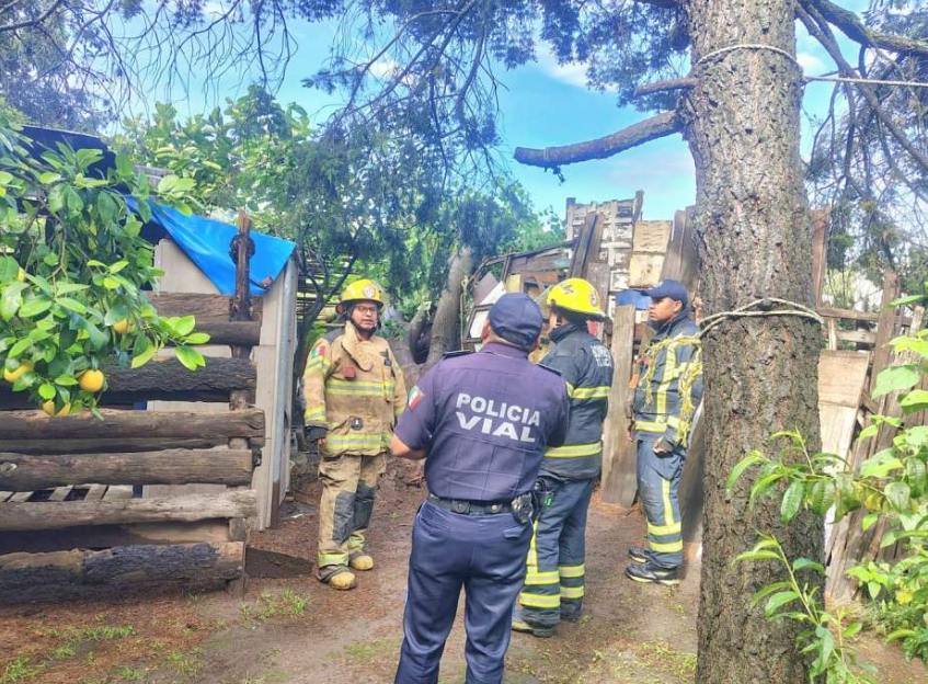 Bomberos y policías retiran árbol en Tlaxcala.