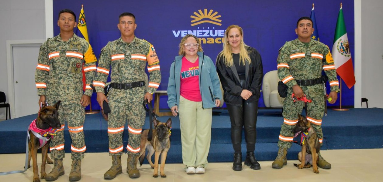 Tres cachorros belga malinois durante la ceremonia de entrega a México.