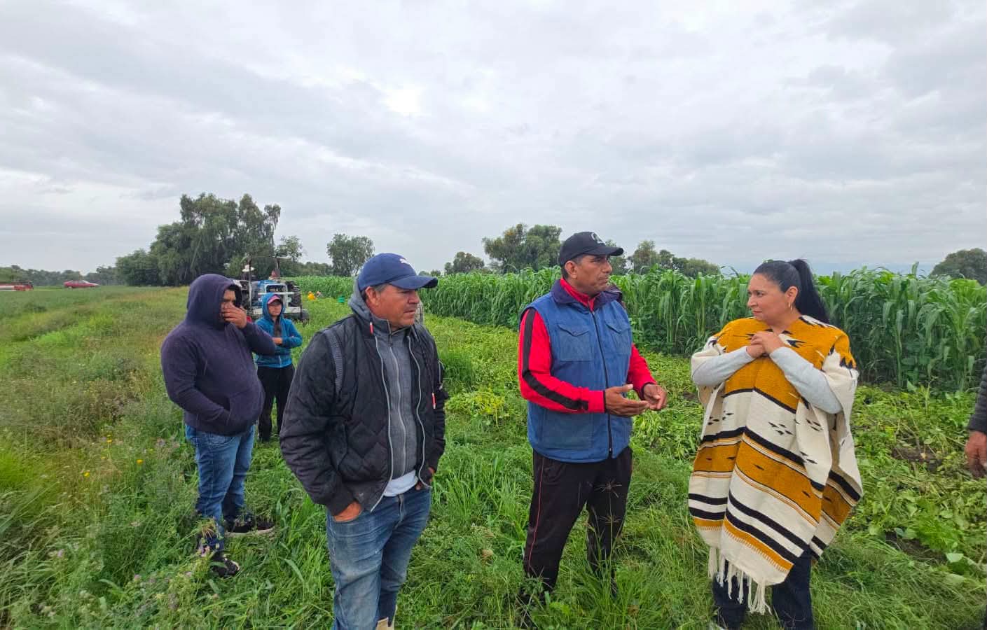 Proyectar al campo como fortaleza estratégica de México, afirma Ana Lilia Rivera