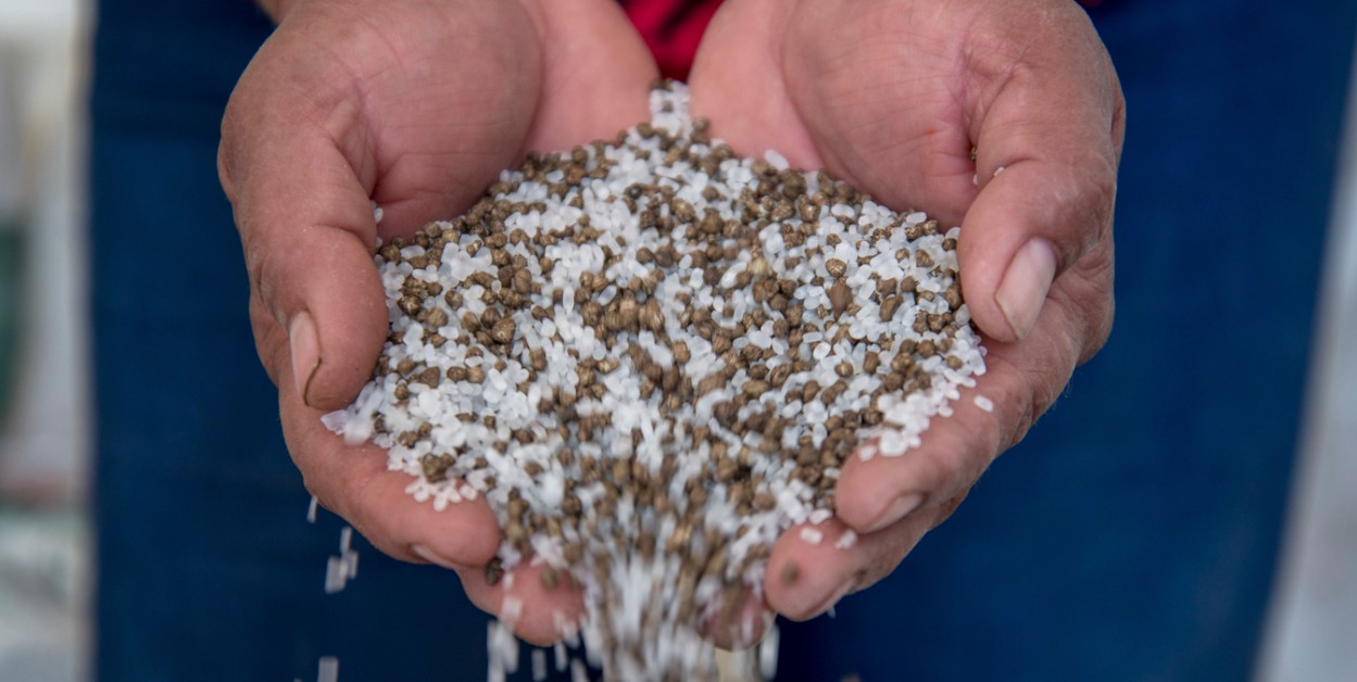 Productores agrícolas reciben fertilizantes gratuitos del programa federal.