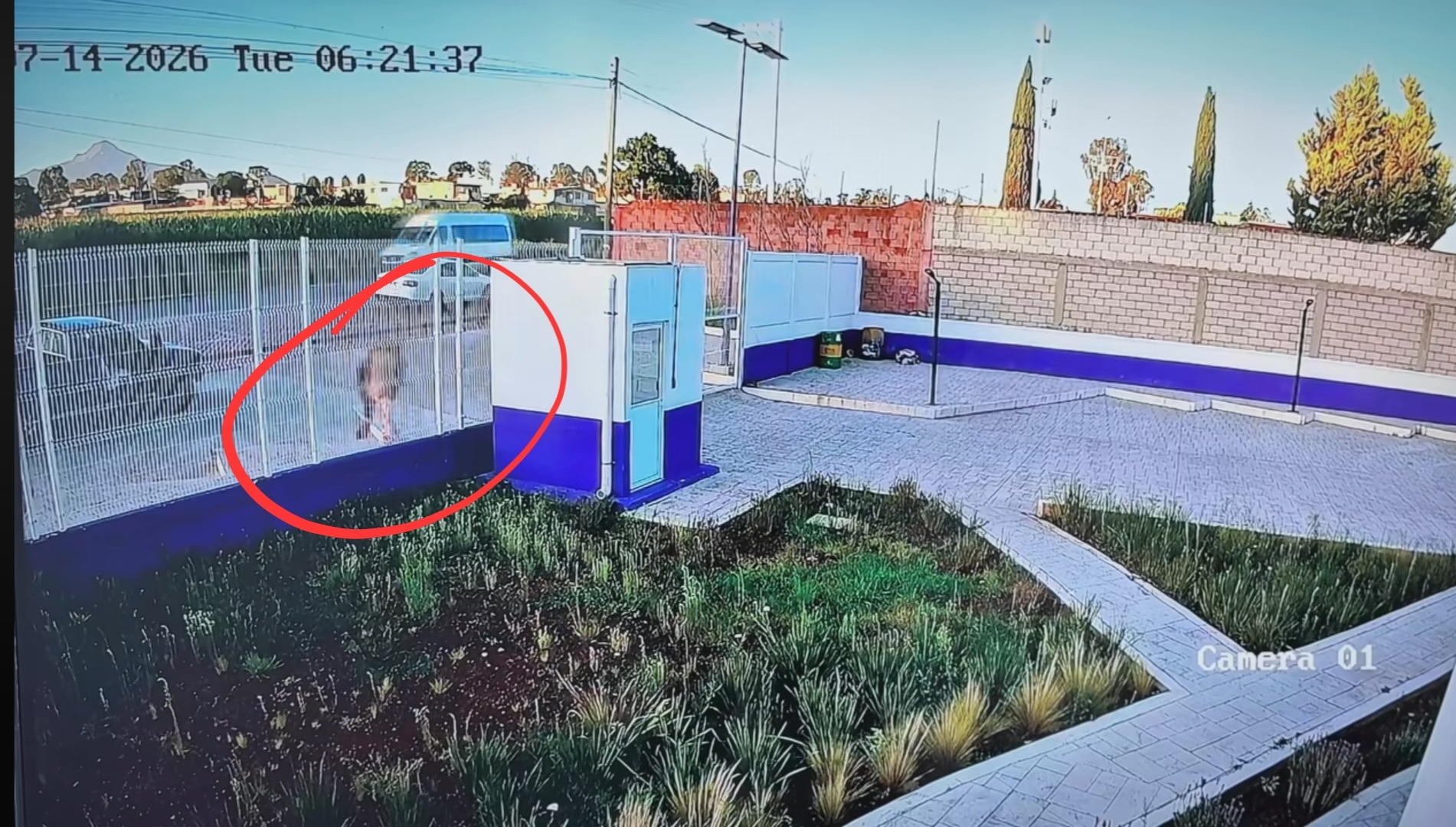 Indignación por abandono de cachorros en la CBA, autoridades exhortan a denunciar
