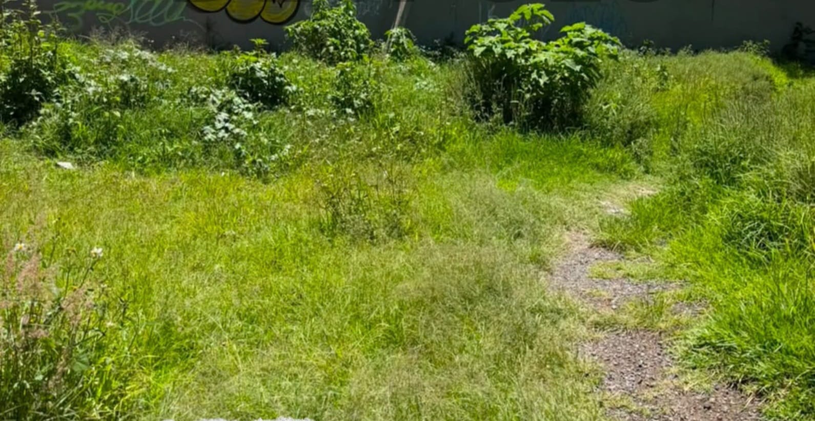 Refuerzan jornadas de limpieza en vialidades y canal Ametlapanapa de San Pedro Cholula