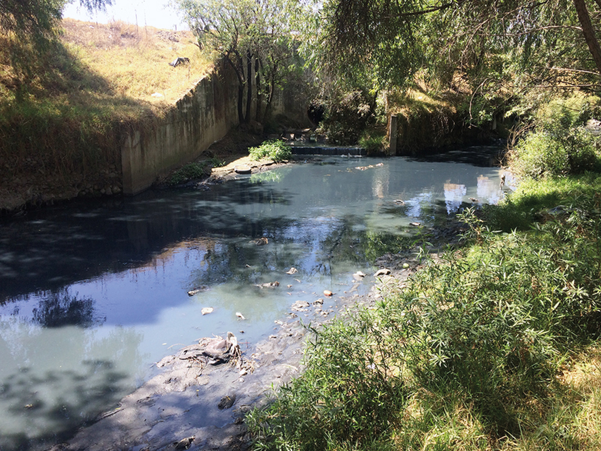 Trabajadores y voluntarios limpian el río Atoyac.