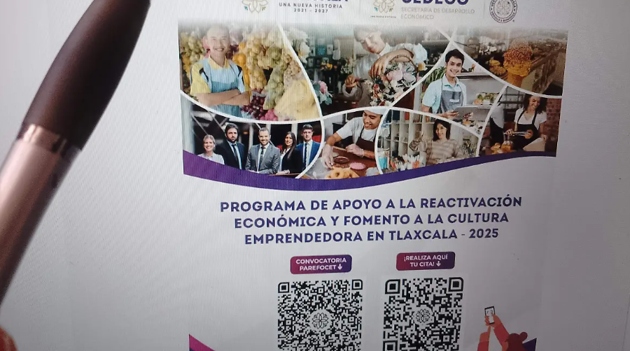 Funcionario de Sedeco habla sobre proyectos rechazados por uso de inteligencia artificial.