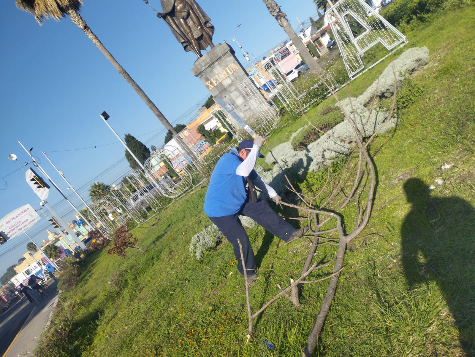 Mantiene Tonantzin Fernández trabajo constante en el mejoramiento de parques y áreas verdes